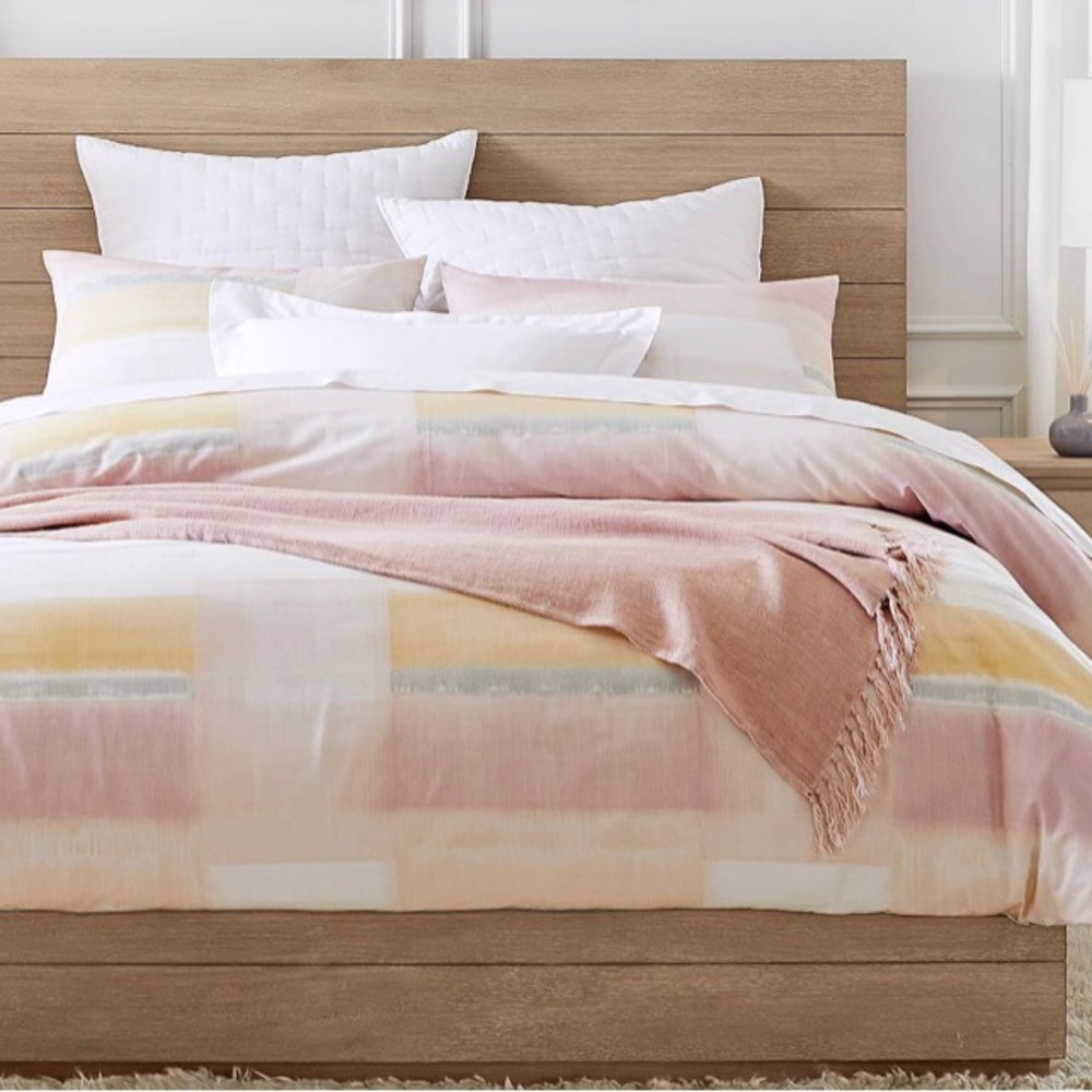 Pottery Barn King Duvet & 2 Euro Shams